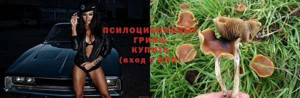 прущие крисы Осташков