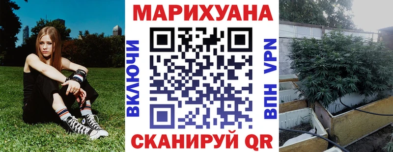 Каннабис Bruce Banner  закладки  Тайга 